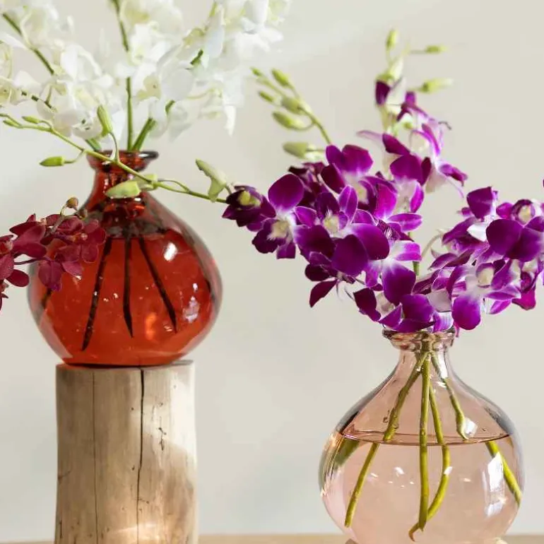 Red 7" Balloon Vase with 5 Stems of Fresh Cut Orchids - White