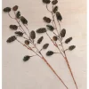 Seaside Alder Pinecone Stems, Set of 2