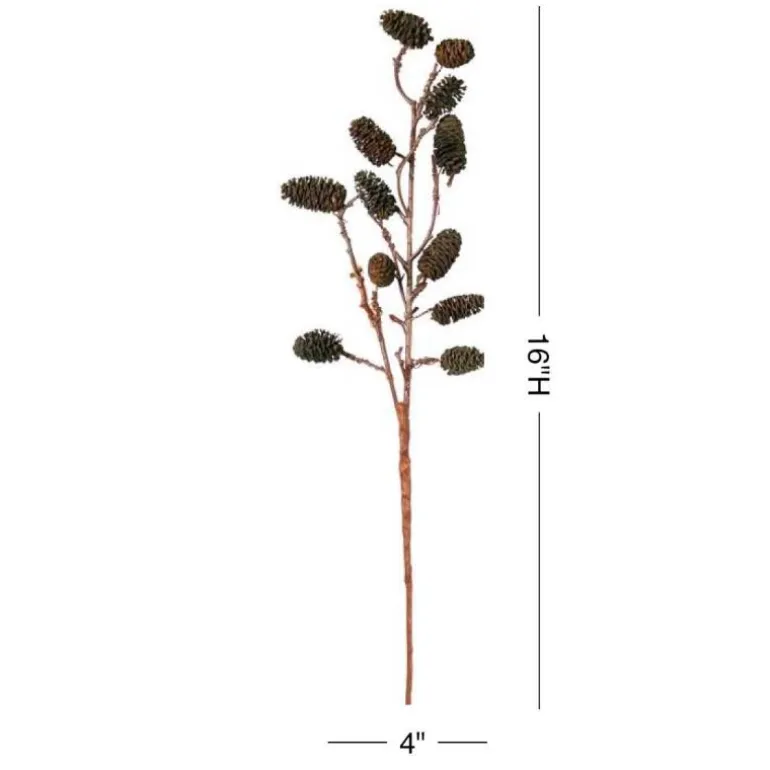 Seaside Alder Pinecone Stems, Set of 2