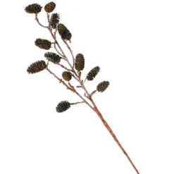 Seaside Alder Pinecone Stems, Set of 2