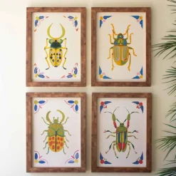 Set of 4 Framed Beetles Paintings