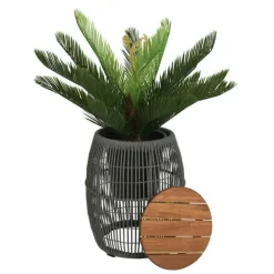 Seville Acacia Side Table
