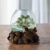 Small Glass Bowl with Teak Wood Stand