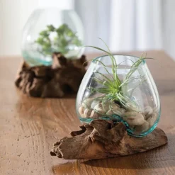 Small Glass Bowl with Teak Wood Stand