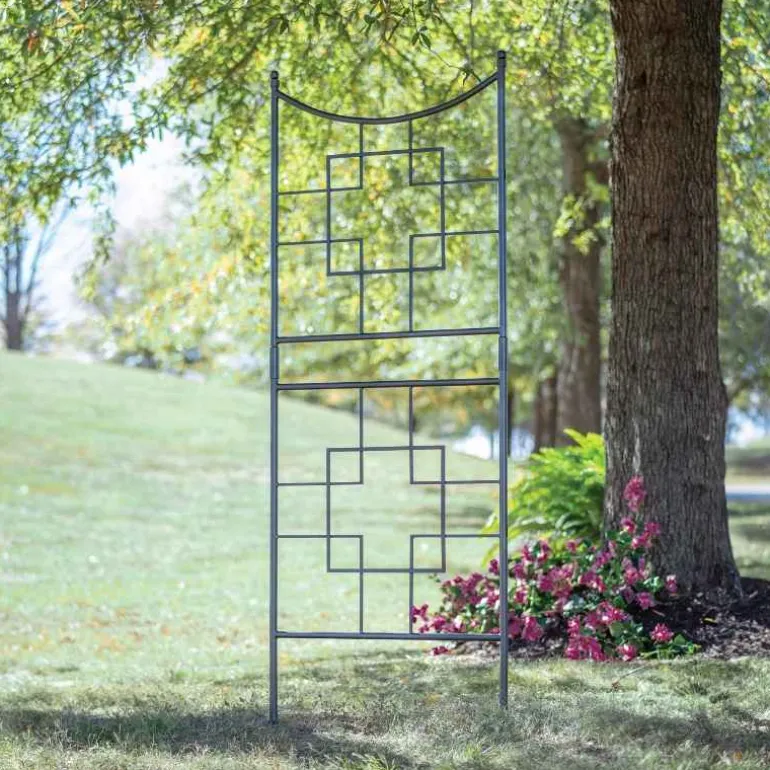 Square on Squares Trellis