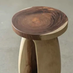 Suar Wood Side Table