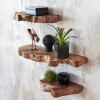Takara Live-Edge Floating Shelf, Extra large