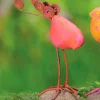 Terracotta Bird on Stone Figurine - Pink