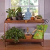 Two-Tier Metal Boot Tray/Stand