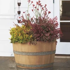 Wine Barrel Planter