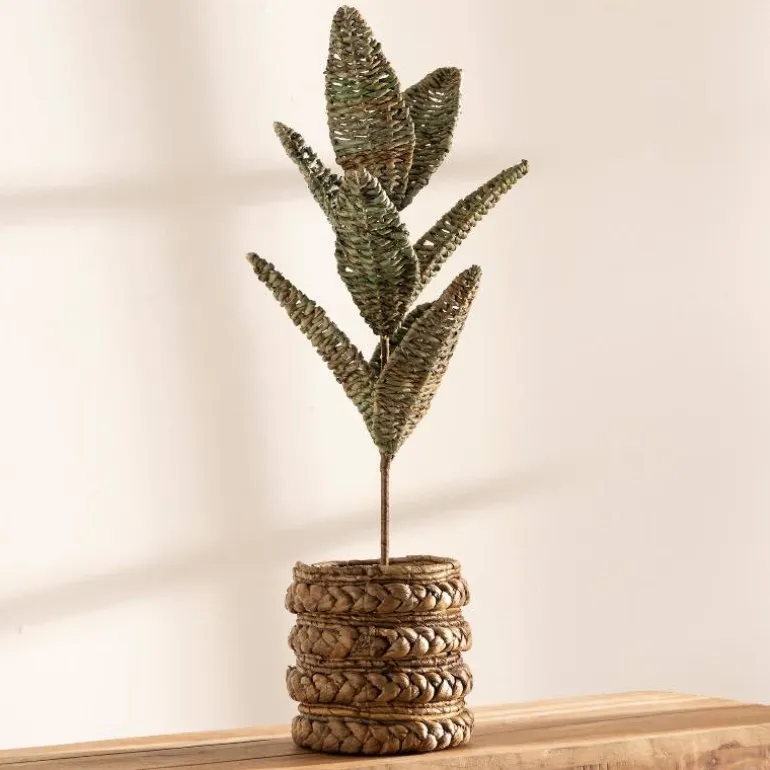 Woven Palm Plant