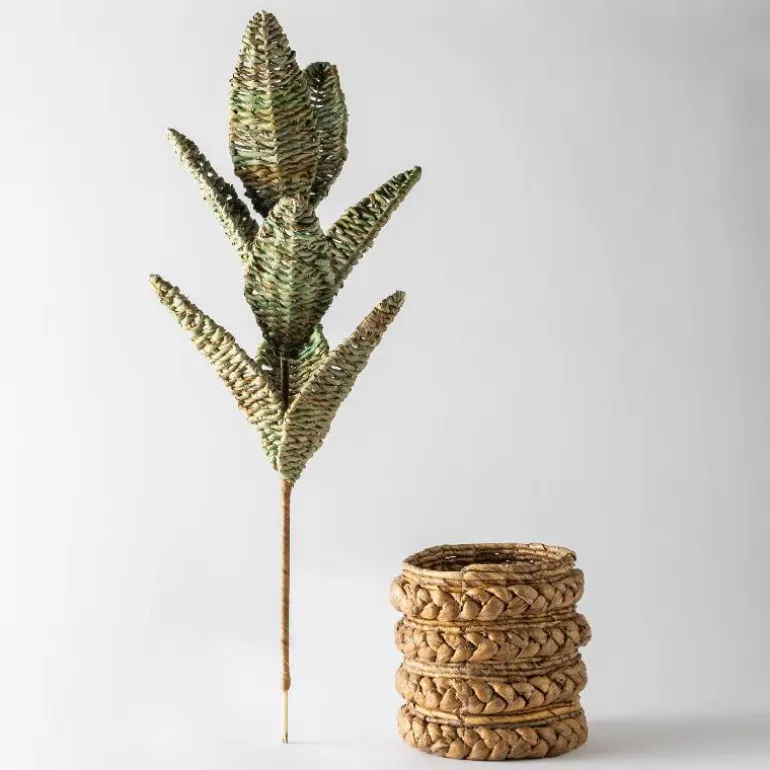 Woven Palm Plant