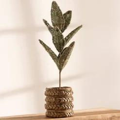 Woven Palm Plant