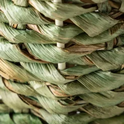 Woven Palm Plant