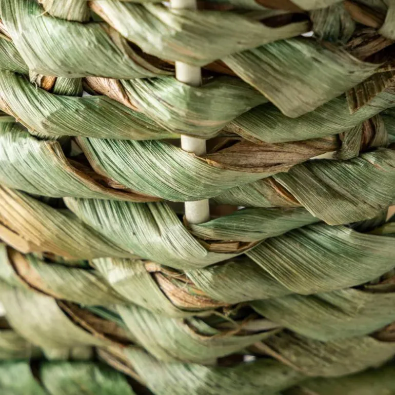 Woven Palm Plant